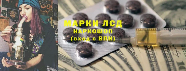 ПСИЛОЦИБИНОВЫЕ ГРИБЫ Белокуриха