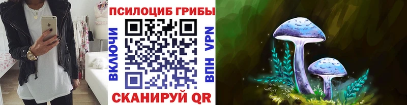 Псилоцибиновые грибы Cubensis  купить  сайты  Верхотурье 